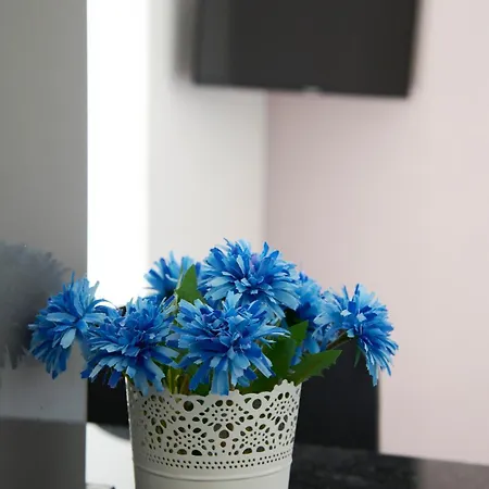 New 3 Bedroom Flat With River On Sight @alameda Apartman